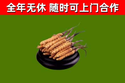安福县烟酒回收冬虫夏草.jpg