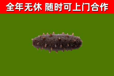 安福县烟酒回收干海参.jpg